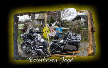 331 Osterhasen Jagd